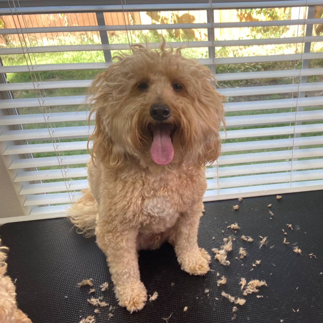 Restraint-Free Artistry