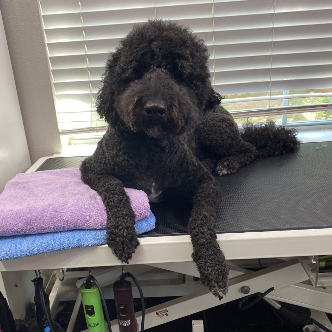 A Low-Sensory Sanctuary