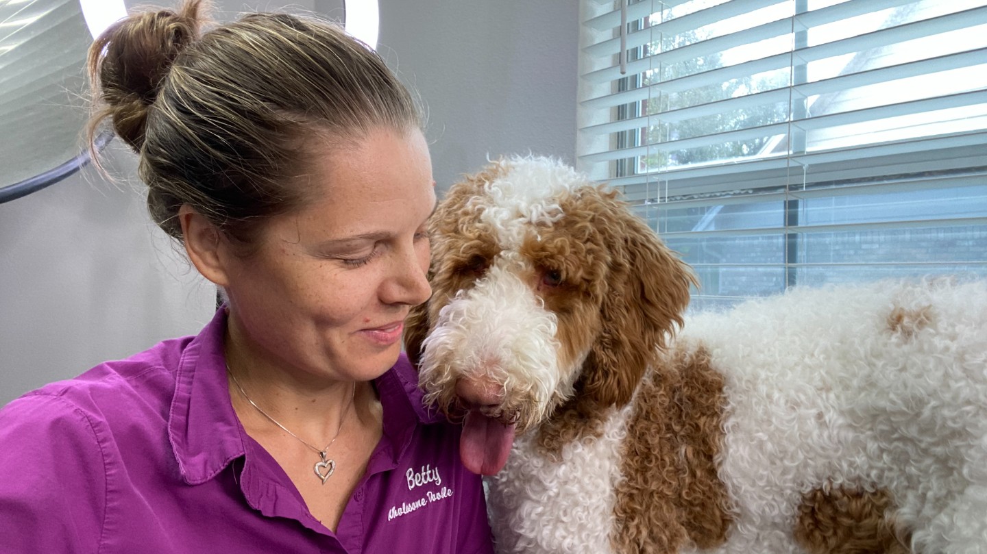 The Wholesome Doodle Difference